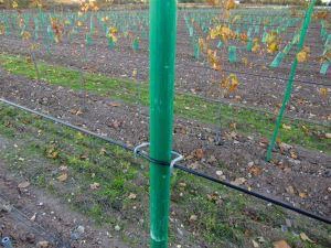 Augstas stiprības rentablu Fiberglass Vineyard Post Pole